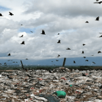 Bloqueo a relleno sanitario puso en riesgo la recolección de basuras en Ibagué