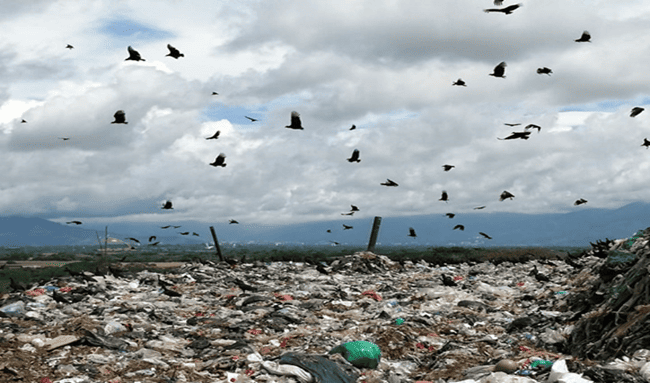Bloqueo a relleno sanitario puso en riesgo la recolección de basuras en Ibagué