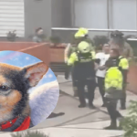 El silencio que dejó el perrito Tonny en un edificio de Kennedy