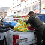 Bogotá recupera cerca de 200 kilos de palma de vino ilegal durante el Domingo de Ramos