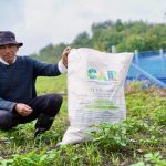 CAR ha entregado más de 25.000 bultos de fertilizante orgánico de buchón de la laguna de Fúquene a las comunidades