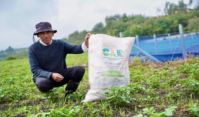 CAR ha entregado más de 25.000 bultos de fertilizante orgánico de buchón de la laguna de Fúquene a las comunidades