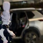 Autoridades buscan a responsables de secuestro de menor de siete años y de hurto de vehículo en Suba