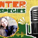 “Testimonios interespecies”: el pódcast del IDPYBA con historias de humanos y animales en Bogotá