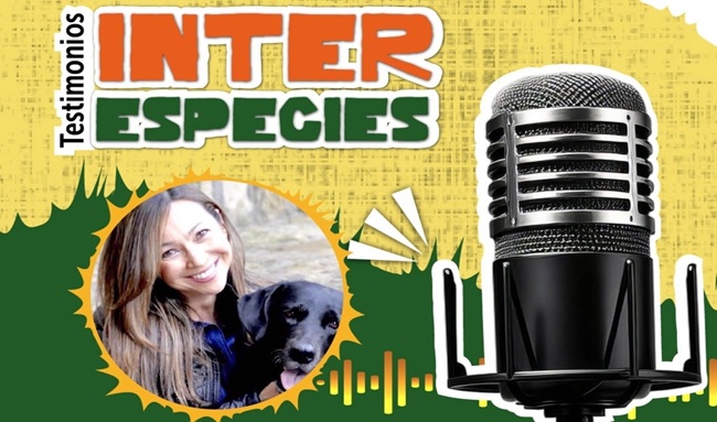 “Testimonios interespecies”: el pódcast del IDPYBA con historias de humanos y animales en Bogotá
