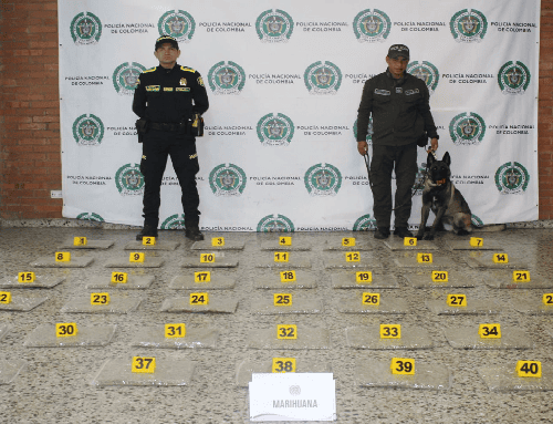 Golpe al narcotráfico en El Dorado: incautan más de 20 kilos de marihuana que iban para Soacha