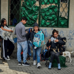 Exitosa jornada de esterilización benefició a más de 140 animales en San Cristóbal Norte, Usaquén
