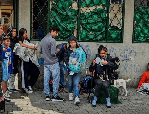 Exitosa jornada de esterilización benefició a más de 140 animales en San Cristóbal Norte, Usaquén
