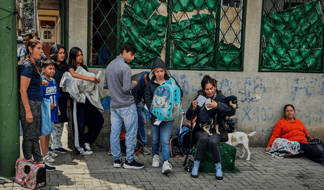 Exitosa jornada de esterilización benefició a más de 140 animales en San Cristóbal Norte, Usaquén