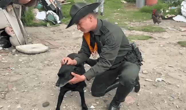 Investigan presunto atropello de un perro por moto de la Policía en Bosa