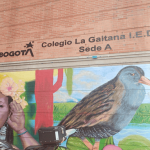 Emergencia en colegio de Suba tras incidente con estudiante: autoridades investigan lo ocurrido