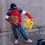 Alerta en Suba: denuncian robo de perros en el parque Arévalo