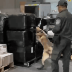 Golpe al narcotráfico en El Dorado: incautan más de 20 kilos de marihuana que iban para Soacha