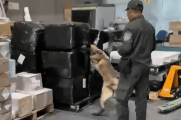 Golpe al narcotráfico en El Dorado: incautan más de 20 kilos de marihuana que iban para Soacha