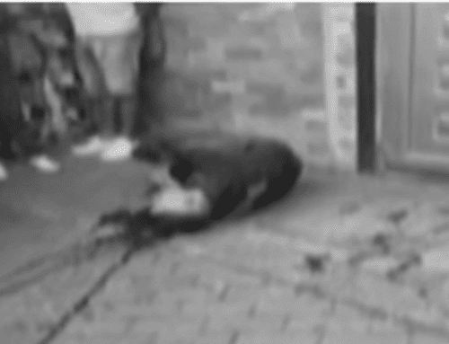 Violencia sacude Bogotá: dos asesinatos en menos de 24 horas bajo la lupa de las autoridades