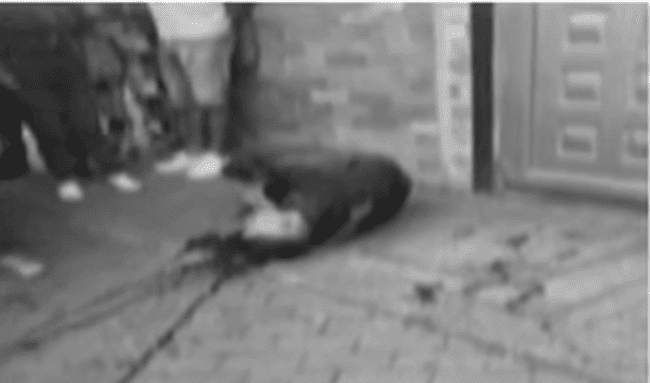 Violencia sacude Bogotá: dos asesinatos en menos de 24 horas bajo la lupa de las autoridades