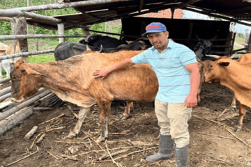 Arranca ciclo nacional de vacunación: más de 30 millones de bovinos serán inmunizados en Colombia