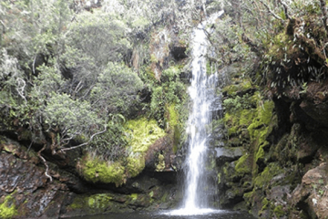 Duitama abre convocatoria para proteger predios clave y garantizar el agua