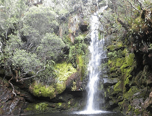 Duitama abre convocatoria para proteger predios clave y garantizar el agua