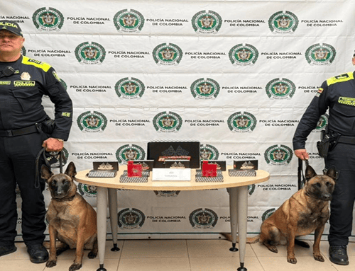 Incautan cocaína camuflada en repuestos de moto con destino a Australia