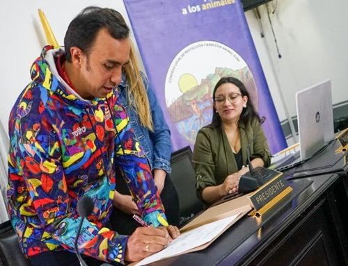Gerencias de la Solución acercan trámites legales a barrios de Suba