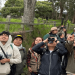 Más de 600 especies de aves podrán observarse en Cundinamarca