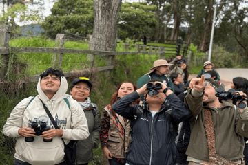 Más de 600 especies de aves podrán observarse en Cundinamarca