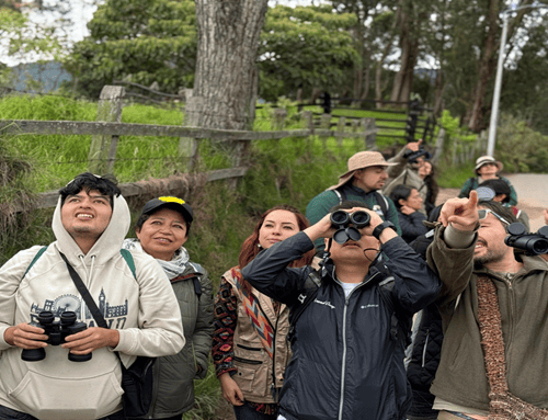Más de 600 especies de aves podrán observarse en Cundinamarca