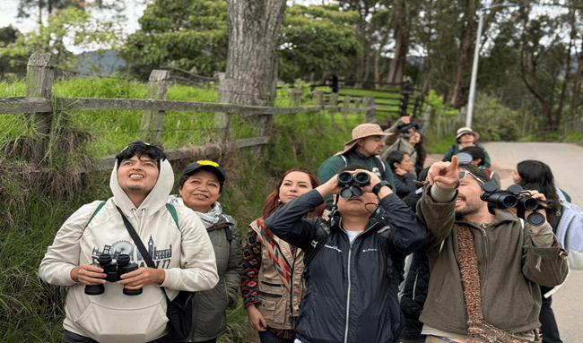 Más de 600 especies de aves podrán observarse en Cundinamarca