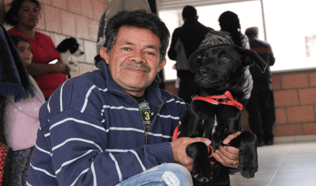 Suba inaugura la Casa PYBA para fortalecer el bienestar animal en la localidad