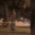 Misterio en Suba: hallan cuerpo de un hombre suspendido en parque de Los Almendros
