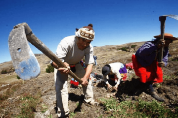 Ibagué alista la Semana del Campesino 2026 con actividades culturales, productivas y musicales