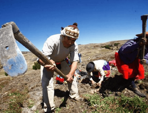 Ibagué alista la Semana del Campesino 2026 con actividades culturales, productivas y musicales