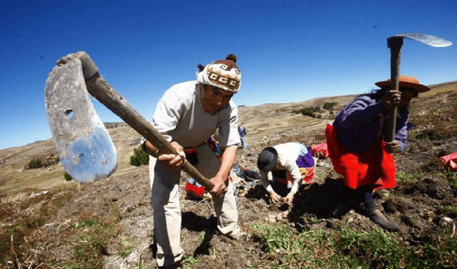 Ibagué alista la Semana del Campesino 2026 con actividades culturales, productivas y musicales