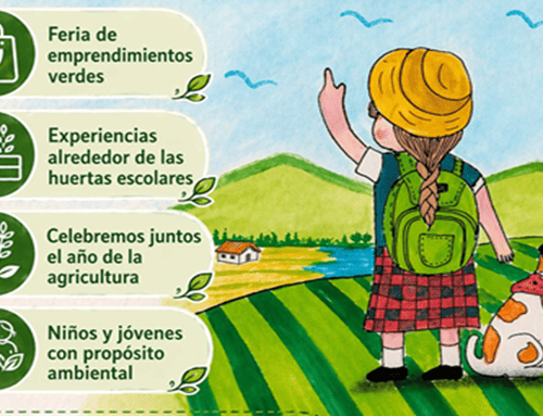 Suba reunirá a 500 personas en encuentro ambiental escolar