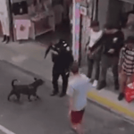 Policía investiga a uniformado que disparó contra un perro durante procedimiento en Rionegro.