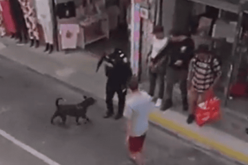 Policía investiga a uniformado que disparó contra un perro durante procedimiento en Rionegro.