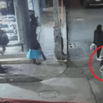 Adulta mayor de 70 años fue arrollada en Suba y conductor huyó sin prestar ayuda