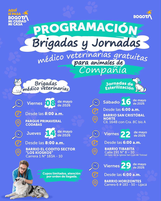Usaquén realizará brigadas veterinarias y jornadas de esterilización para la comunidad