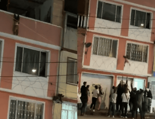 Última Hora: Milagro en Suba: vecinos salvaron a niño que quedó colgando de un cuarto piso en La Gaitana