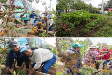 Suba reverdece Bilbao: crean jardín agroecológico junto al río Bogotá