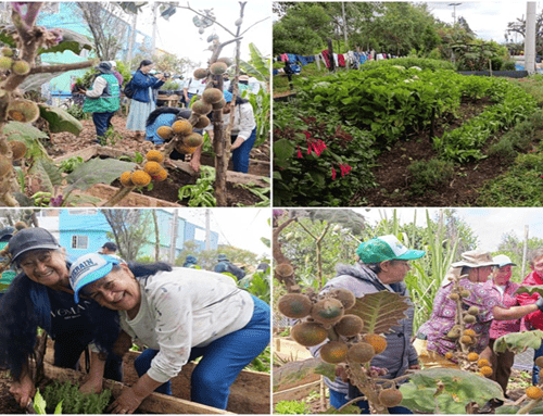 Suba reverdece Bilbao: crean jardín agroecológico junto al río Bogotá