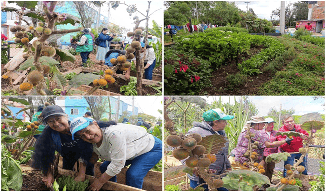 Suba reverdece Bilbao: crean jardín agroecológico junto al río Bogotá