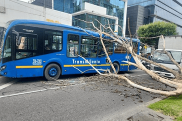Caída de árbol genera afectaciones viales en la calle 127 con carrera 16, en Usaquén