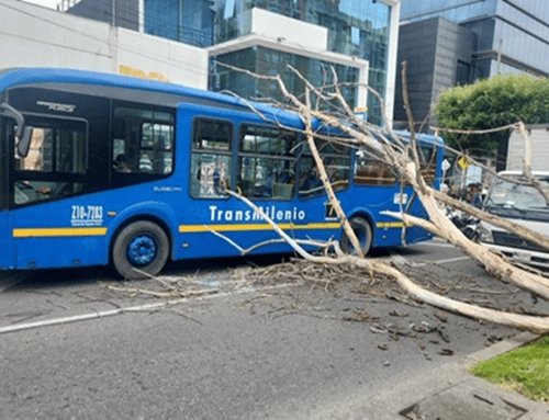 Caída de árbol genera afectaciones viales en la calle 127 con carrera 16, en Usaquén