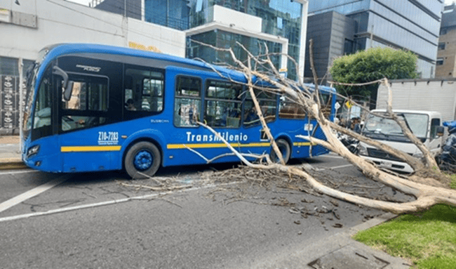 Caída de árbol genera afectaciones viales en la calle 127 con carrera 16, en Usaquén