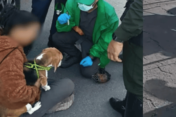 Caso de Kira: rescatan perrita tras denuncia de maltrato difundida en redes