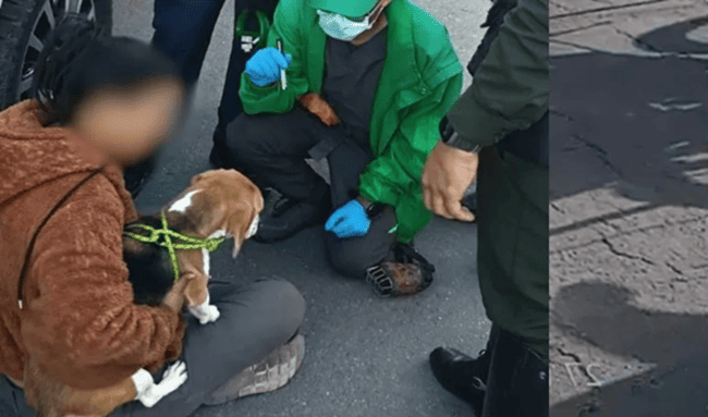 Caso de Kira: rescatan perrita tras denuncia de maltrato difundida en redes