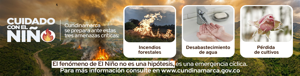 Cuidado con el Niño-Cundinamarca-Junio