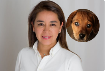 Diana Diago denuncia presunto carrusel de contratación en programas de protección animal; Suba figura entre las localidades señaladas